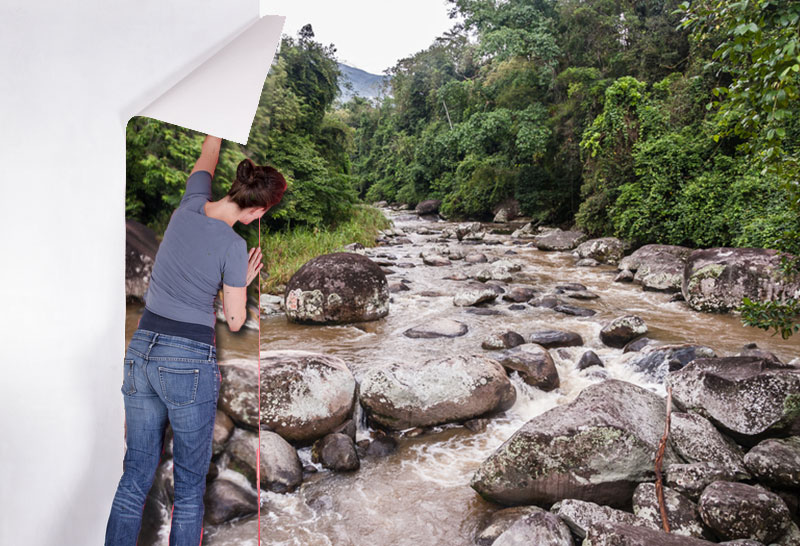 If you have a love of nature, why not bring it into your home with your very own window to the outdoors.